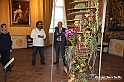 VBS_0181 - Corollaria Flower Exhibition 2022